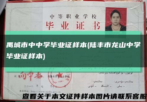 禹城市中中学毕业证样本(陆丰市龙山中学毕业证样本)缩略图