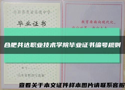 合肥共达职业技术学院毕业证书编号规则缩略图