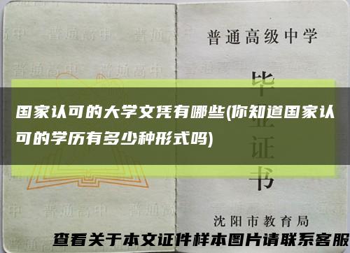国家认可的大学文凭有哪些(你知道国家认可的学历有多少种形式吗)缩略图
