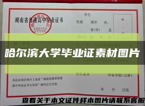 哈尔滨大学毕业证素材图片缩略图