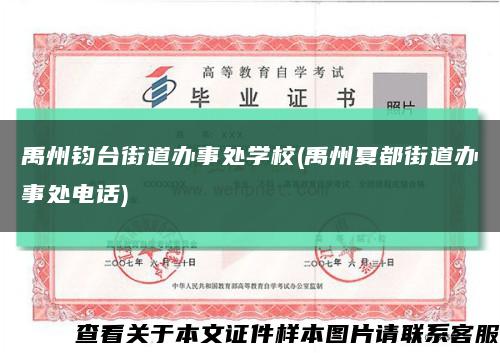 禹州钧台街道办事处学校(禹州夏都街道办事处电话)缩略图