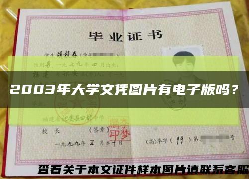 2003年大学文凭图片有电子版吗？缩略图