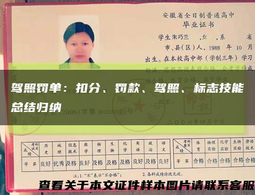 驾照罚单：扣分、罚款、驾照、标志技能总结归纳缩略图