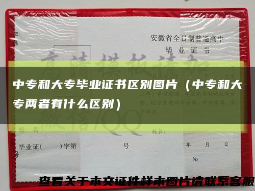 中专和大专毕业证书区别图片（中专和大专两者有什么区别）缩略图