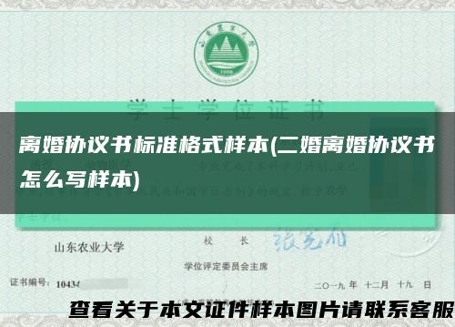 离婚协议书标准格式样本(二婚离婚协议书怎么写样本)缩略图