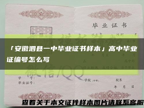 「安徽泗县一中毕业证书样本」高中毕业证编号怎么写缩略图