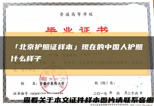 「北京护照证样本」现在的中国人护照什么样子缩略图