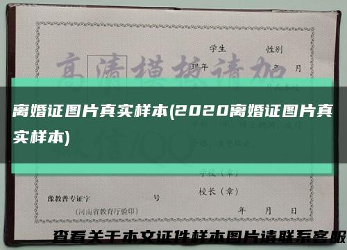 离婚证图片真实样本(2020离婚证图片真实样本)缩略图