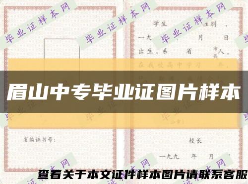 眉山中专毕业证图片样本缩略图