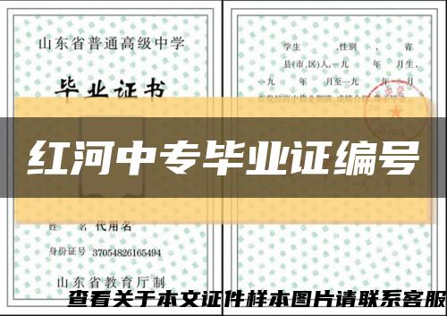 红河中专毕业证编号缩略图