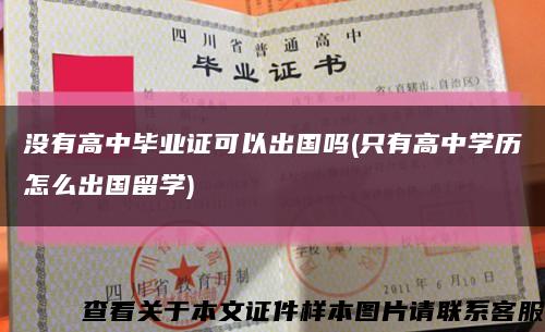 没有高中毕业证可以出国吗(只有高中学历怎么出国留学)缩略图