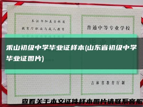 禾山初级中学毕业证样本(山东省初级中学毕业证图片)缩略图