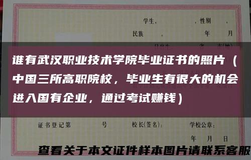 谁有武汉职业技术学院毕业证书的照片（中国三所高职院校，毕业生有很大的机会进入国有企业，通过考试赚钱）缩略图