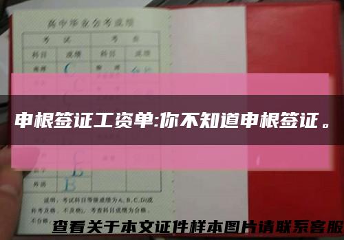 申根签证工资单:你不知道申根签证。缩略图