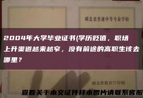 2004年大学毕业证书(学历贬值，职场上升渠道越来越窄，没有前途的高职生该去哪里？缩略图