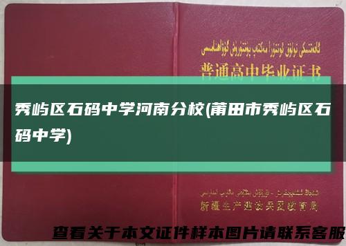 秀屿区石码中学河南分校(莆田市秀屿区石码中学)缩略图