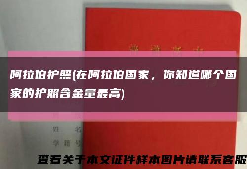 阿拉伯护照(在阿拉伯国家，你知道哪个国家的护照含金量最高)缩略图