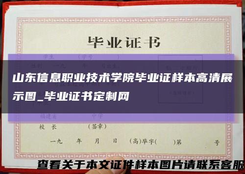 山东信息职业技术学院毕业证样本高清展示图_毕业证书定制网缩略图