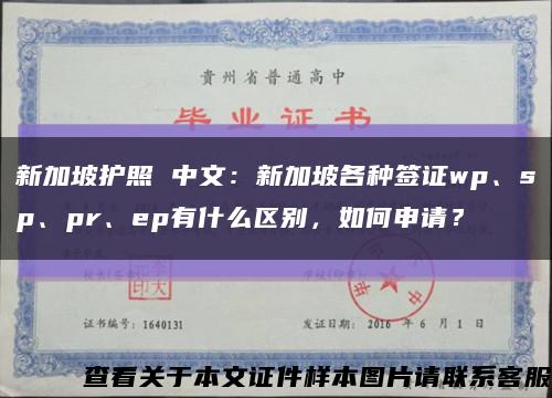 新加坡护照 中文：新加坡各种签证wp、sp、pr、ep有什么区别，如何申请？缩略图