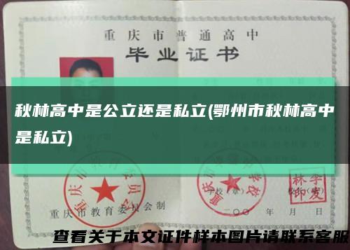 秋林高中是公立还是私立(鄂州市秋林高中是私立)缩略图