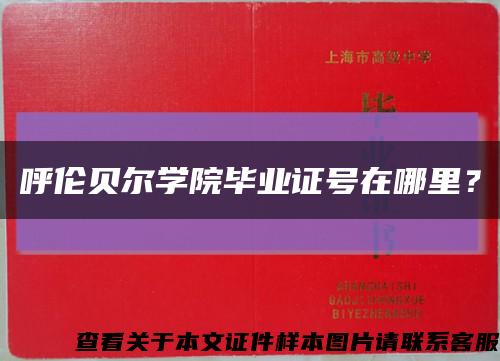 呼伦贝尔学院毕业证号在哪里？缩略图