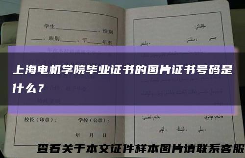 上海电机学院毕业证书的图片证书号码是什么？缩略图