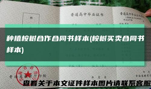 种植桉树合作合同书样本(桉树买卖合同书样本)缩略图