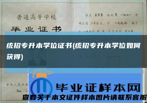 统招专升本学位证书(统招专升本学位如何获得)缩略图