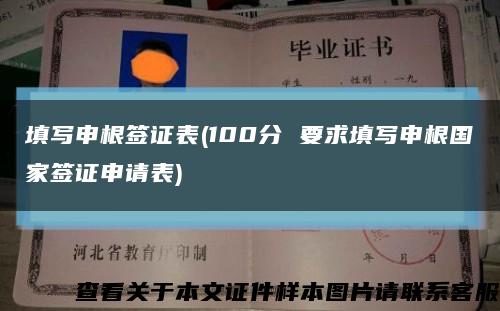 填写申根签证表(100分 要求填写申根国家签证申请表)缩略图