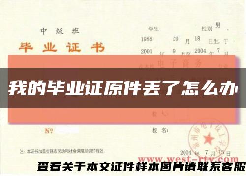 我的毕业证原件丢了怎么办缩略图