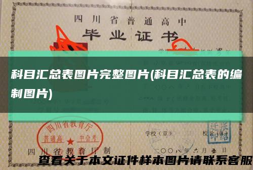 科目汇总表图片完整图片(科目汇总表的编制图片)缩略图