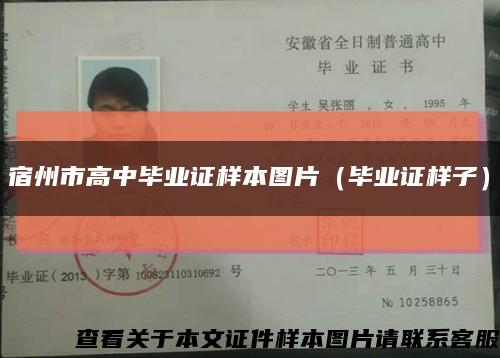 宿州市高中毕业证样本图片（毕业证样子）缩略图