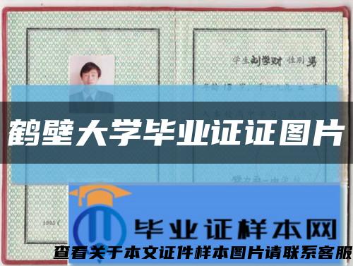 鹤壁大学毕业证证图片缩略图