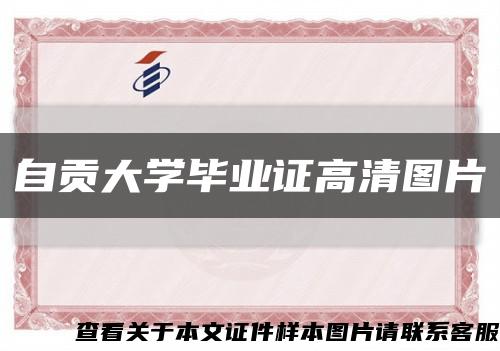 自贡大学毕业证高清图片缩略图