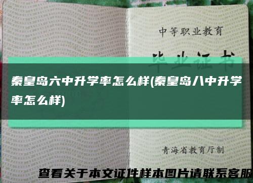 秦皇岛六中升学率怎么样(秦皇岛八中升学率怎么样)缩略图