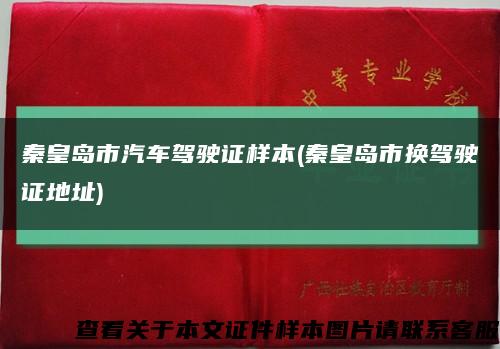 秦皇岛市汽车驾驶证样本(秦皇岛市换驾驶证地址)缩略图