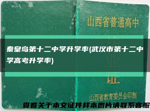 秦皇岛第十二中学升学率(武汉市第十二中学高考升学率)缩略图