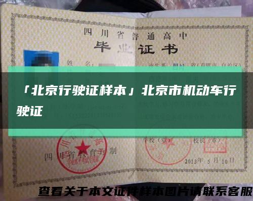 「北京行驶证样本」北京市机动车行驶证缩略图