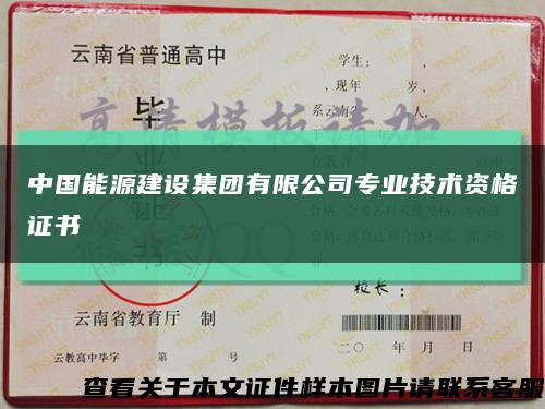 中国能源建设集团有限公司专业技术资格证书缩略图