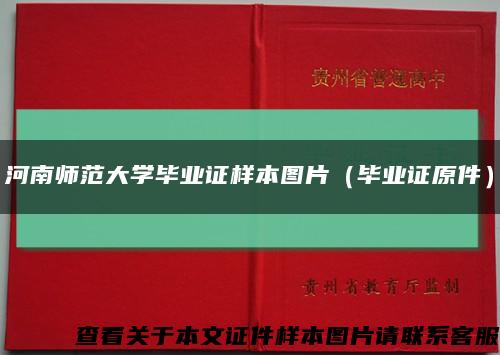 河南师范大学毕业证样本图片（毕业证原件）缩略图