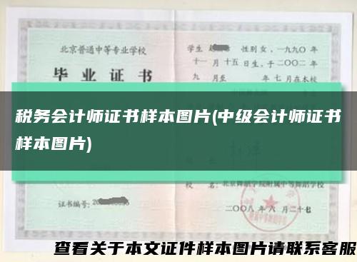 税务会计师证书样本图片(中级会计师证书样本图片)缩略图