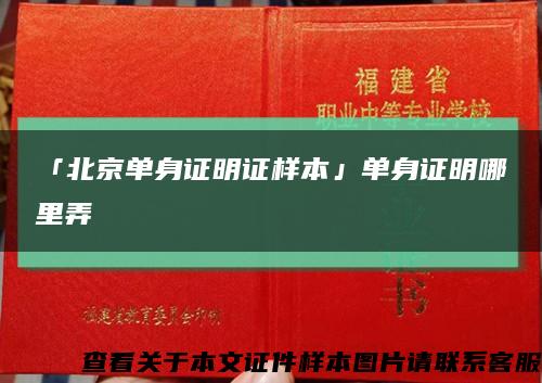 「北京单身证明证样本」单身证明哪里弄缩略图