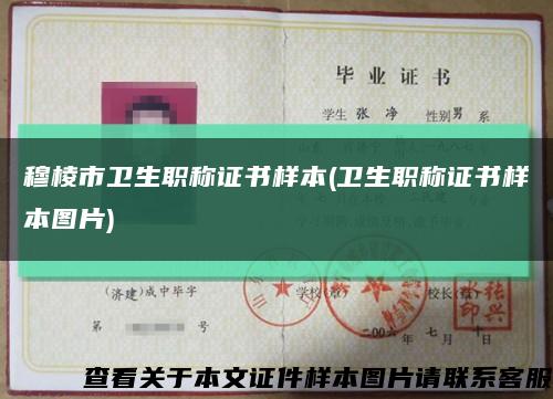 穆棱市卫生职称证书样本(卫生职称证书样本图片)缩略图