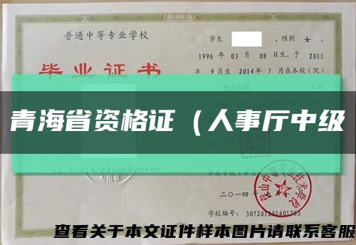 青海省资格证（人事厅中级缩略图