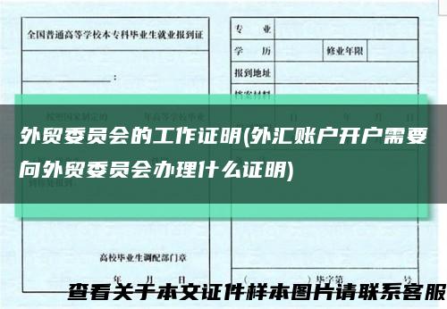 外贸委员会的工作证明(外汇账户开户需要向外贸委员会办理什么证明)缩略图