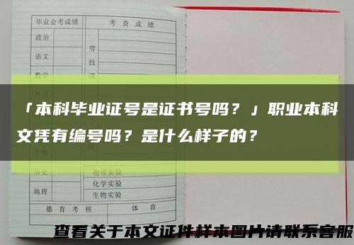 「本科毕业证号是证书号吗？」职业本科文凭有编号吗？是什么样子的？缩略图