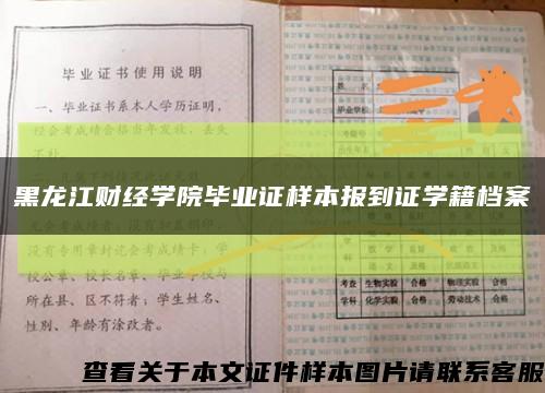 黑龙江财经学院毕业证样本报到证学籍档案缩略图