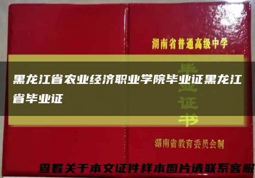 黑龙江省农业经济职业学院毕业证黑龙江省毕业证缩略图