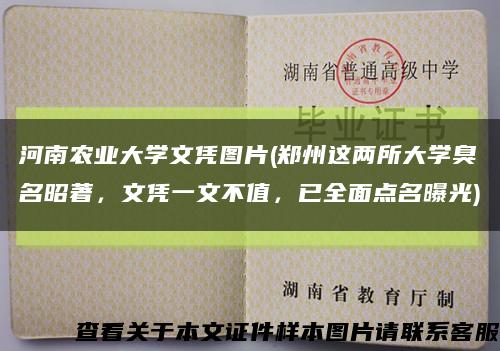 河南农业大学文凭图片(郑州这两所大学臭名昭著，文凭一文不值，已全面点名曝光)缩略图