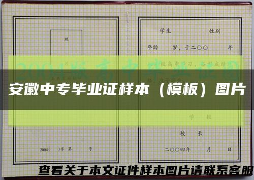 安徽中专毕业证样本（模板）图片缩略图